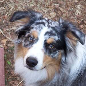 Meet your Posher, Sky